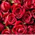 Bev Miskus's profile image