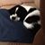 Patricia Castree's profile image