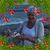 Pat Bewsee Jopson's profile image