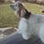 Martha Carlson Rushton's profile image