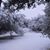 Linda Cleveland Lindley's profile image