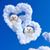 Philip R. Smolen's profile image