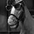 Ed Butcher's profile image