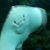 Stephen Perkins's profile image