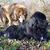 Stephanie Jones's profile image