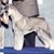 Linda Dobbie's profile image
