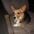 Vincent Ferrara's profile image
