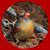 Jude Elaine Baland's profile image
