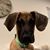 Sarah Keil's profile image