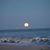 Sheri Gingerich Davenport's profile image