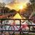 Mireya Romero's profile image