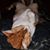 Audra Adell Wicker's profile image