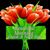 Kimberly Thompson's profile image