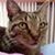 Maïté Marie's profile image
