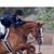 Nourah Rashid Caskey's profile image