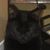 Kelly Heburn Edwards's profile image