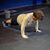 Lori Cranford Whatley's profile image