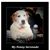 Cindy Anderson's profile image