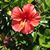 Diana Luschek Street's profile image