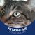 Billie Condie's profile image