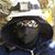 Jason Borja's profile image
