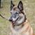 Anna Fernandez's profile image