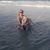 Diane Caron Carroll's profile image