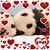 Kim Ita's profile image