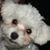 Shelly Mullins's profile image