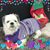 Lori Rocco Jacobson's profile image