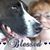 Debb KC's profile image