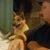 Randy Pate's profile image
