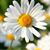 Loretta Lynn Solley's profile image