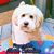Charlie Nall's profile image