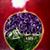 Luis Gabriel Molano's profile image