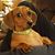 Rene' C. Ferrell's profile image