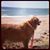 Linda West's profile image