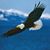 Mark Alan Smith's profile image