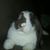 Kat Kmetz Glaros's profile image