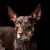Holly Haynes-Clark's profile image
