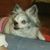 Melissa Ann Eisenhauer's profile image