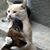 Sharon Hughes's profile image
