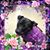 Michelle Rich's profile image