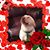 Jackie Maddux-Bachtel's profile image