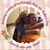 Linda Baumann's profile image