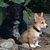 David M. Goodson's profile image