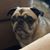 Traci Grummert's profile image