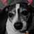 Mike Angelo Digioia Jr.'s profile image