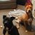 Stacie Montalto Holliday's profile image