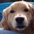 Kathy Swiger's profile image